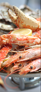 Crab Market Dubai website portfolio