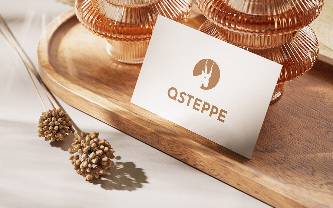 Q Steppe Logo - Tessella Studio