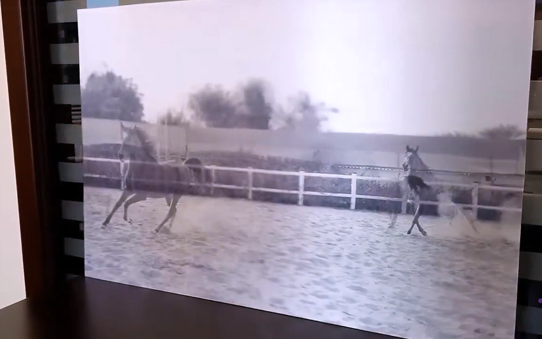 Animated Horses Lenticular Project - Tessella Studio